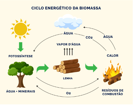 biocombustível