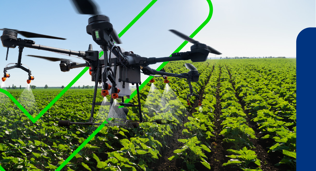 Agricultura 4.0. Drone pulverizador, regando as plantações, aparentemente de alfaces.