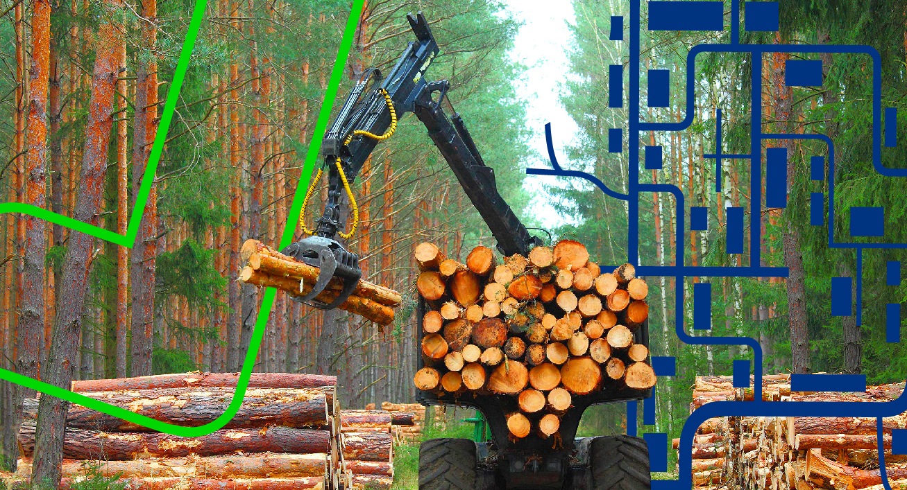 Treinamento de alto nível - Blog - Kolecti Recursos Florestais