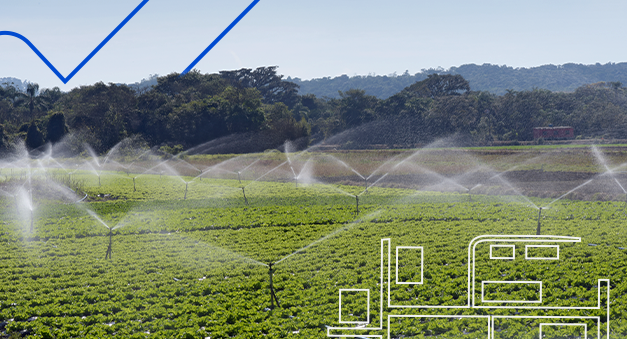 tipos de irrigação
