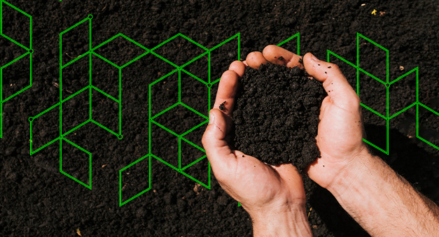 Biochar