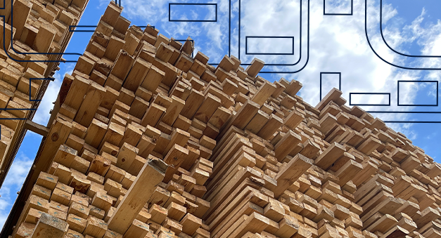 Sistema de identificação de madeira: como o SFB fortalece o combate ao comércio ilegal? 