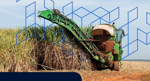 desafios da mecanização no plantio de cana-de-açúcar