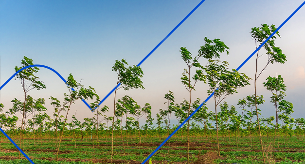 Exportações em alta