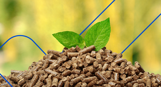 Bioenergia florestal