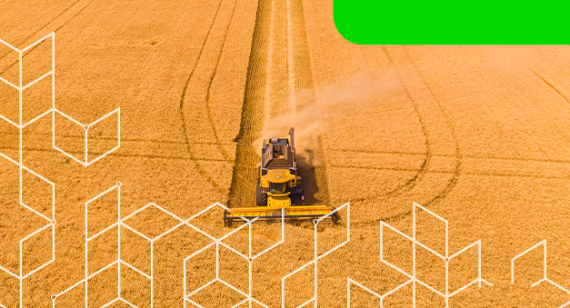 Ciclo completo de colheita